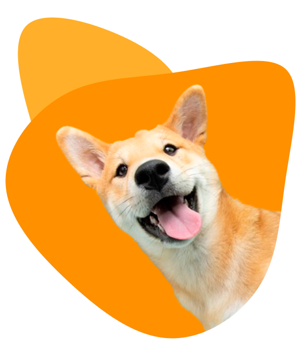 content4
